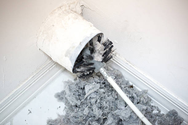 Best Professional Duct Cleaning Services  in Cumings, TX